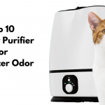 Best Air Purifier For Cat Litter Odor