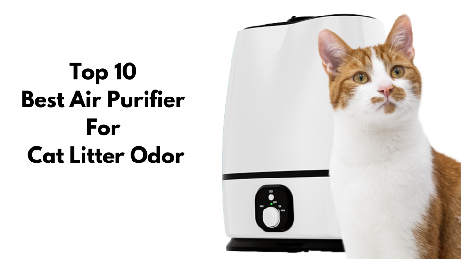 Best Air Purifier For Cat Litter Odor