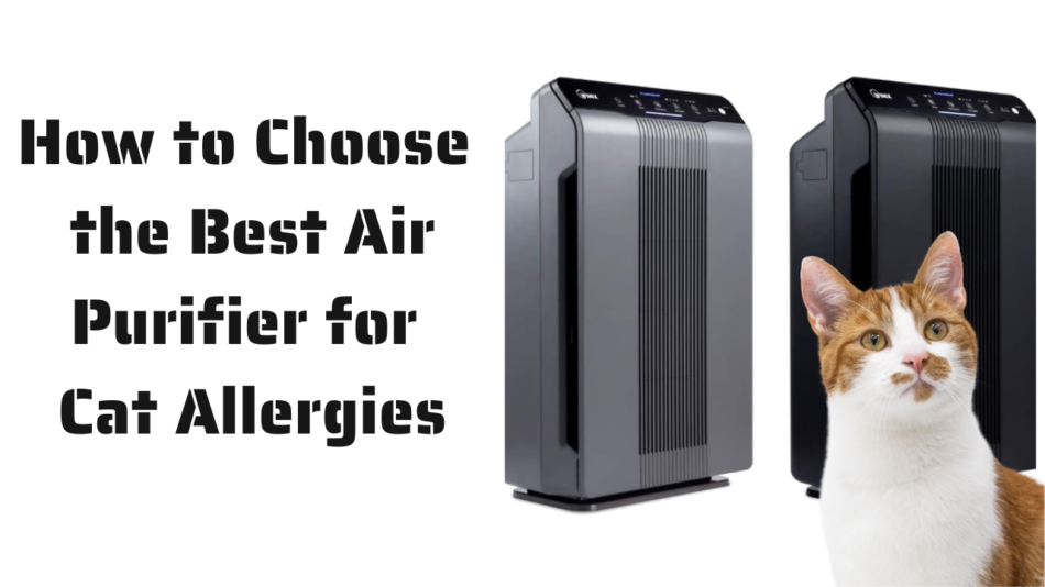 Best Air Purifier for Cat Allergies