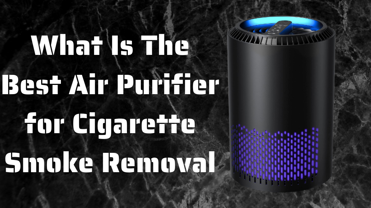 Best Air Purifier for Cigarette Smoke