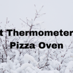 Best Thermometer For Pizza Oven