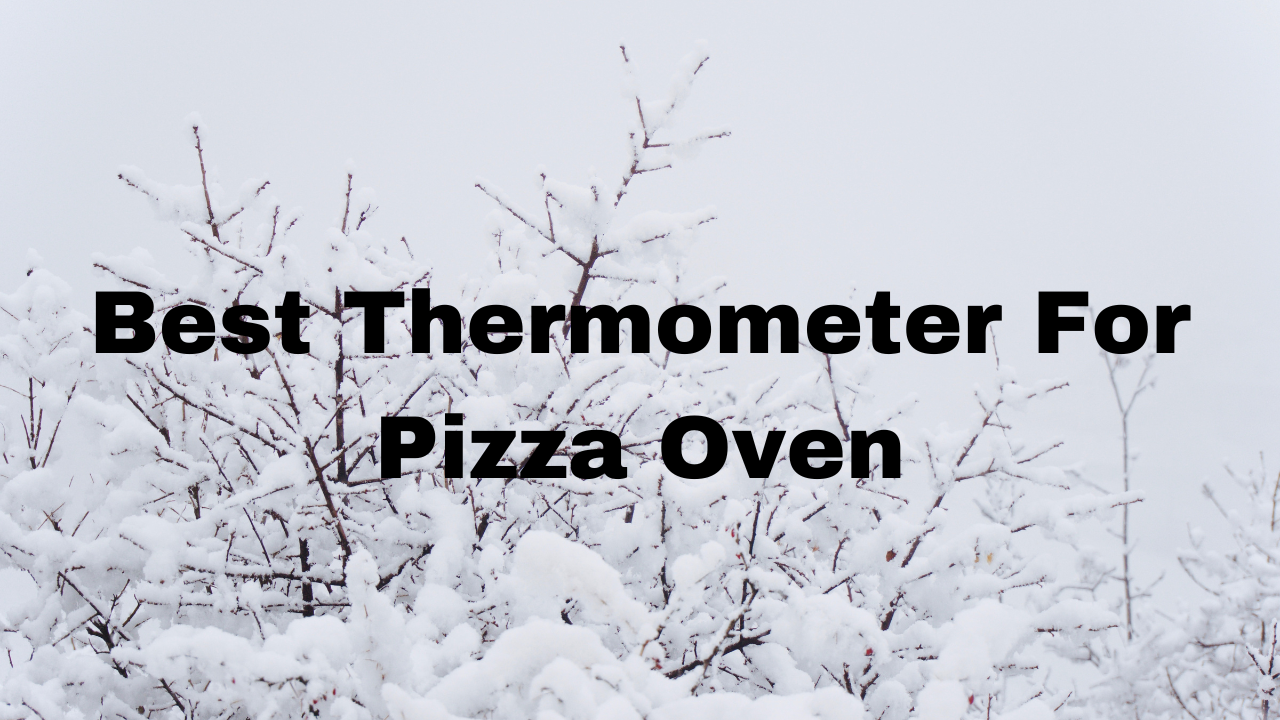 Best Thermometer For Pizza Oven