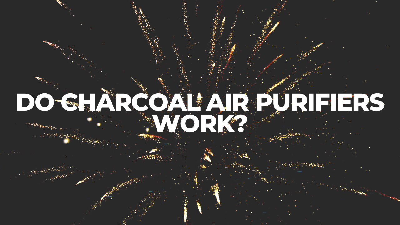 Do Charcoal Air Purifiers Work