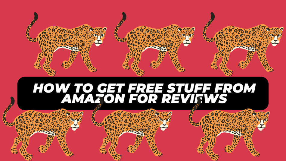 How To Get Free Stuff from Amazon For Reviews