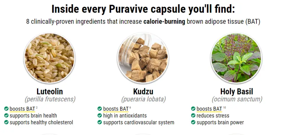 Puravive - The Ultimate Weight Loss Solution