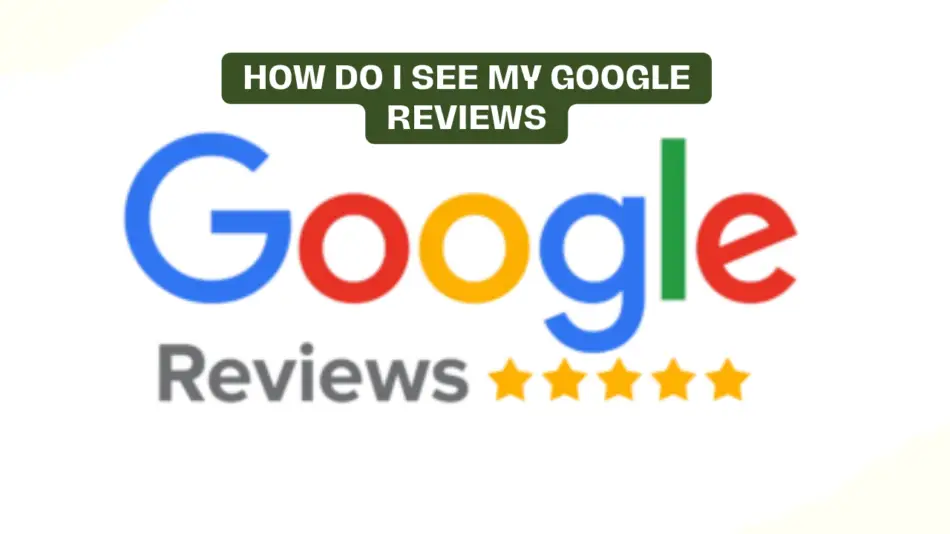How Do I See My Google Reviews